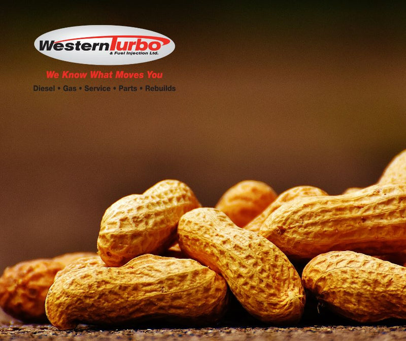 Biofuel could be peanuts in the future...
